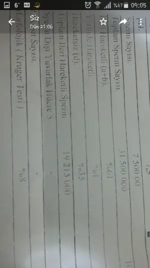 Screenshot_2019-03-13-09-05-56.webp
