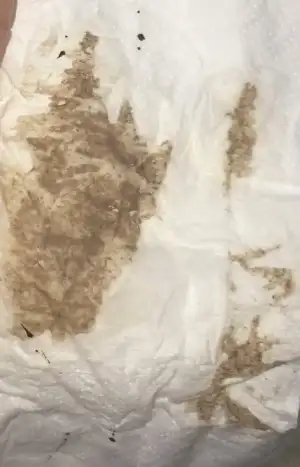 bizans oyunları fragman masa hokeyi oyunu oyna