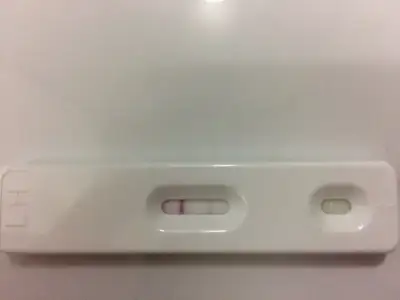 D0CEE989-39AE-4F0E-BAF7-DAA0C94EDB8A (1).webp