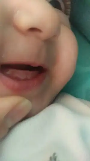 IMG-20190328-WA0010.webp