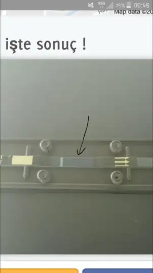 2019-03-29 01.15.19.webp