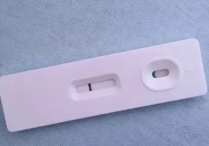 2019-03-29 12.23.17.webp