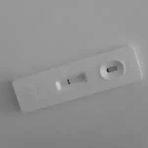 2019-03-29 12.25.00.webp