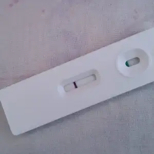 2019-03-29 13.46.42.webp