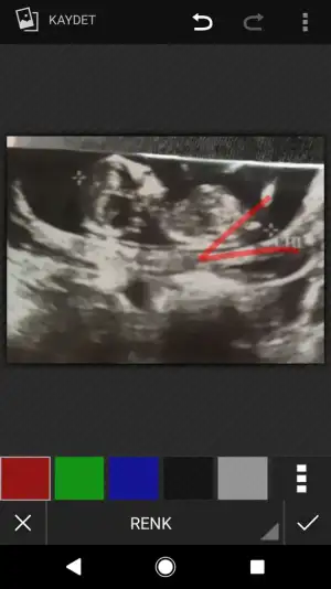 Screenshot_20190330-135439.webp