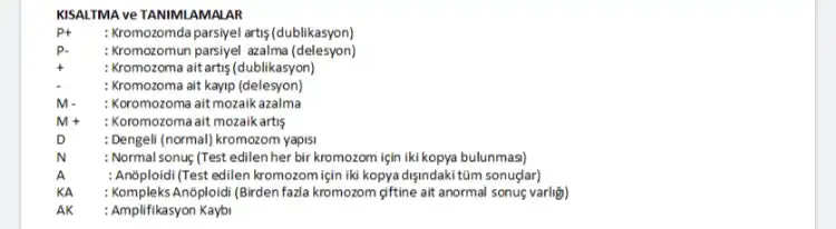 D71DD4D0-809E-42CD-965D-60FBE2791C6F.webp
