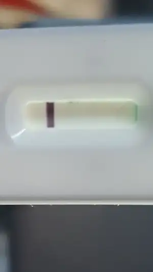 Screenshot_20190406-023437_Gallery.webp