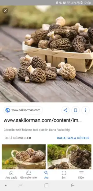 Screenshot_20190406-120003_Google.webp