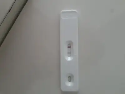 1554612952157164666049067356514.webp