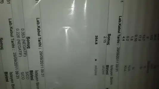 1554659975800-1072929502.webp