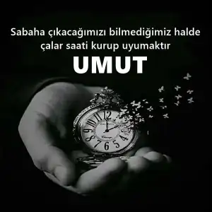 1554675104944.webp 1554675104944.webp