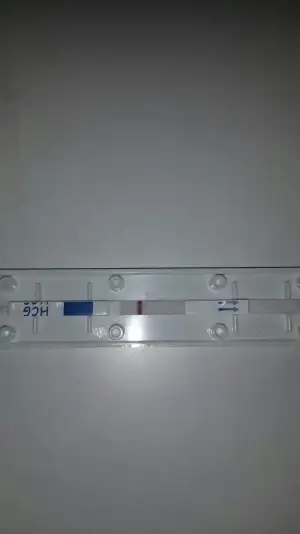 20190408_220446.webp