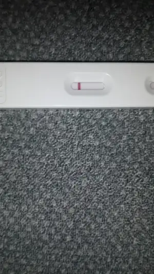 20190411_133239.webp