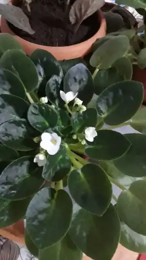 20190412_235846.webp