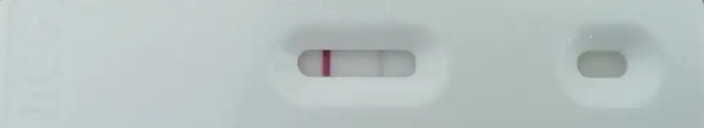 leohcg.jpeg