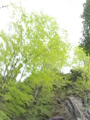 20190414_165741.webp