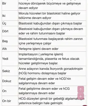 AE251155-C8FE-4574-B304-C0CF2B424D96.webp