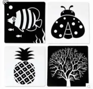 5FA9C121-16EB-4E9A-B75B-7F2F25D3F8B2.webp