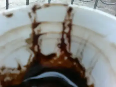 $2012-02-15-002.webp