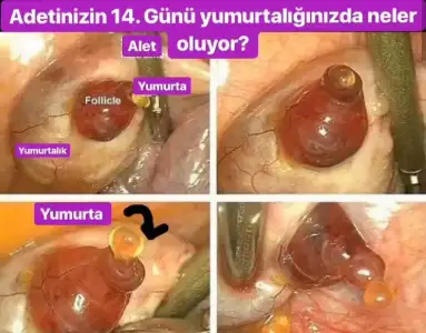 20190430_151719.webp