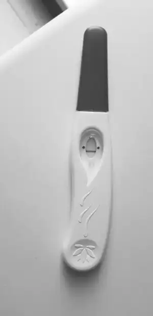 20190501_122925 (2).webp