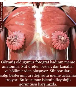 F6A976A0-E406-430F-A96E-1A51F911285E.webp
