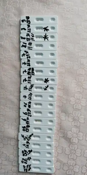 IMG-20190509-WA0008.webp