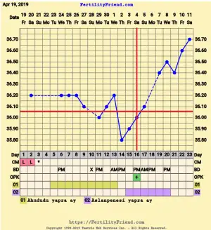 2019-05-11 22.07.41.webp