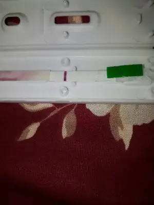 15576378469354329695960382959315.webp