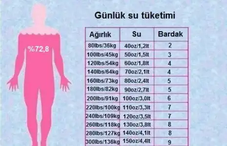 0D0E1B59-FD70-4A16-B601-B1315DEC558E.webp
