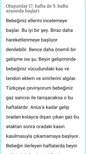 Screenshot_2019-05-15-10-19-38.webp