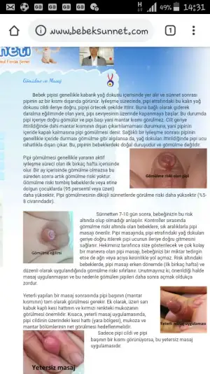 Screenshot_2019-05-16-14-31-17.png
