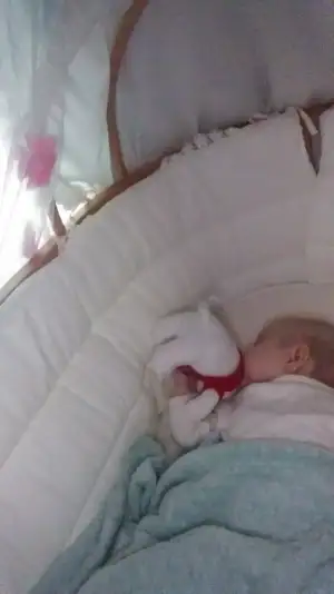 IMG-20190519-WA0043.webp