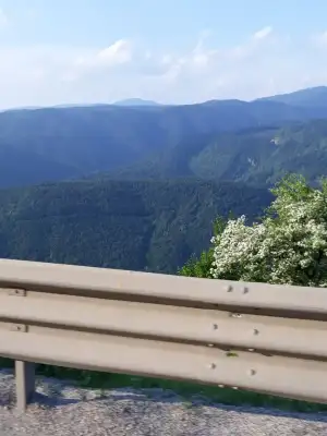20190519_200501.webp