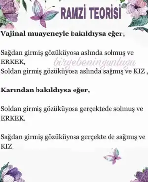 Screenshot_2019-05-14-18-39-38-1.webp