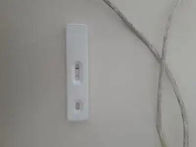 15588458582383420649983580333595.webp
