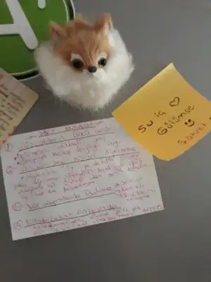 20190526_132229.webp