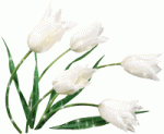 $1df1ade796a76105b9f32229ba2b6caf.gif