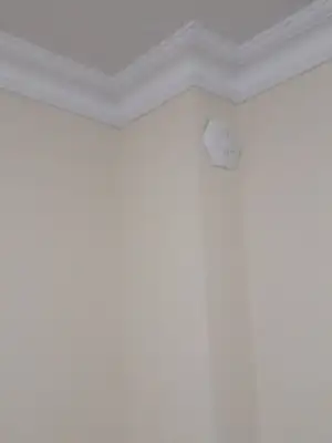 15591687306868704156512736699151.webp