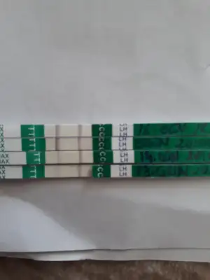 15594786385094414227375316493122.webp