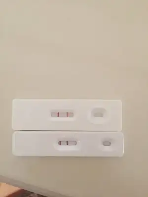 CD835DEA-0D86-4724-A7AD-C9074682EB99.webp