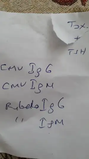 15601613929624101283153360891257.webp