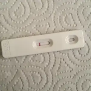 2019-06-12 18.06.46.webp