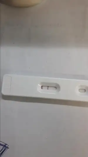 WhatsApp Image 2019-06-13 at 13.25.04.webp