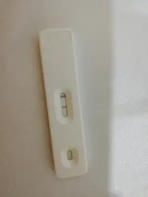 15607926172102518276781766775624.webp