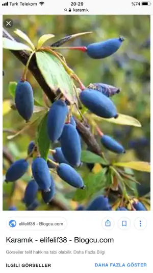 A90F1813-5418-4B80-8C06-FD743AA74AF7.webp