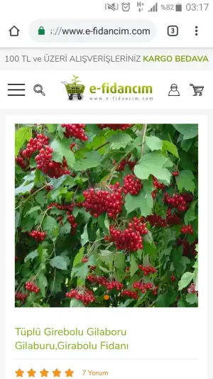 Screenshot_2019-06-20-03-17-18.webp