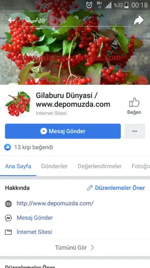 Screenshot_2019-06-21-00-18-14.webp
