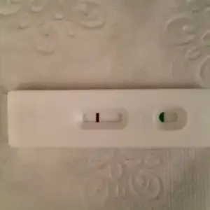 2019-06-22 09.11.39.webp