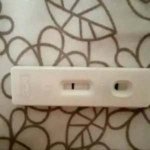 2019-06-21 20.34.51.webp